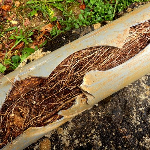 Same Day Drain Sewer & Rooter Pros Across Nashua